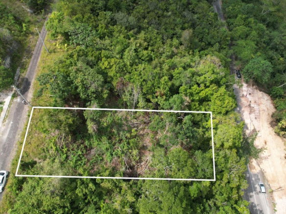 First image of Lot 370 Minard Estate in Brittonville, St. Ann, Jamaica - property is For Sale