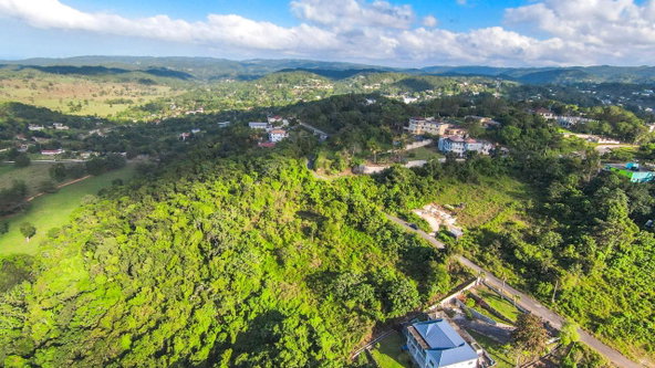 Thirteenth image of 4 Minard in Browns Town, St. Ann, Jamaica - property is For Sale