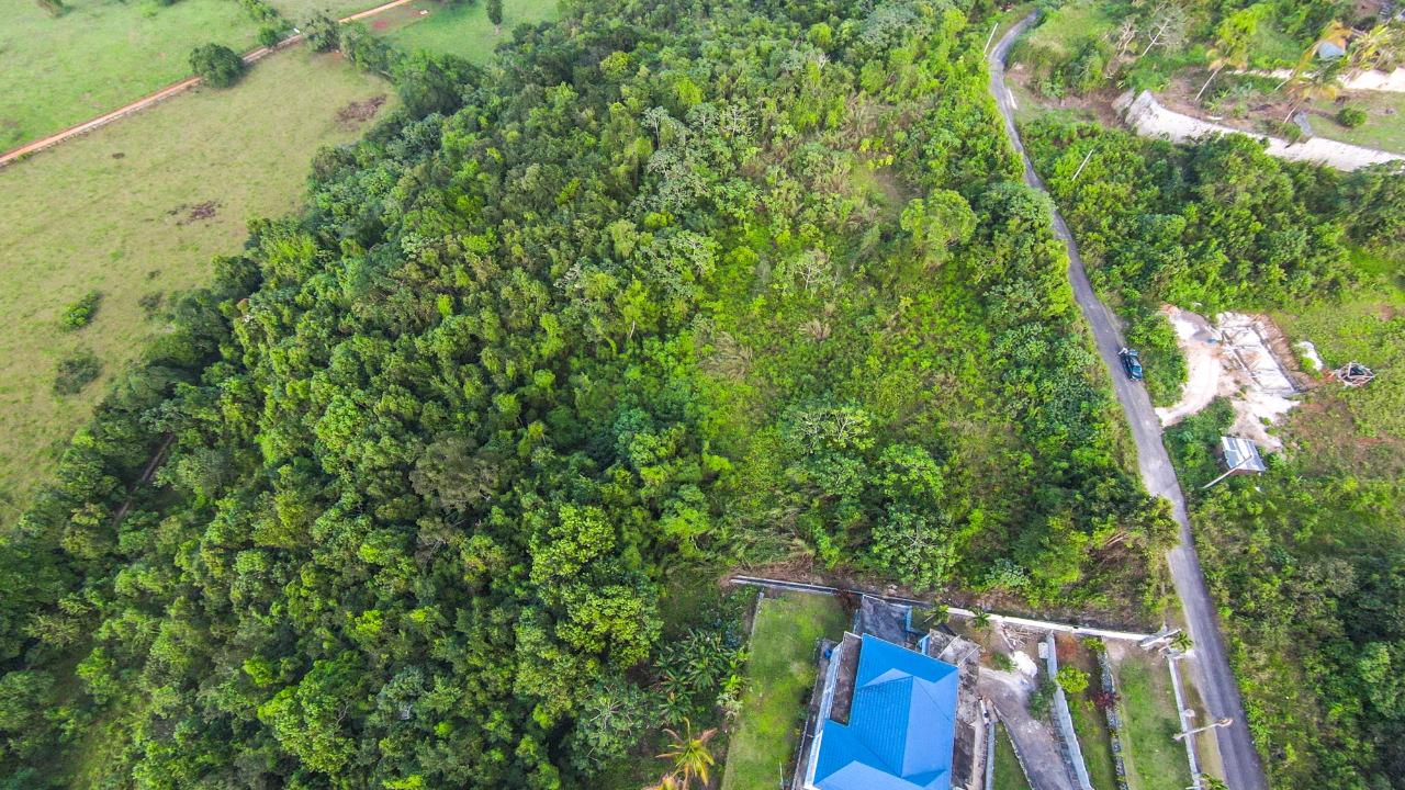 Sixteenth image of 4 Minard in Browns Town, St. Ann, Jamaica - property is For Sale