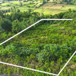 First image of 4 Minard in Browns Town, St. Ann, Jamaica - property is For Sale