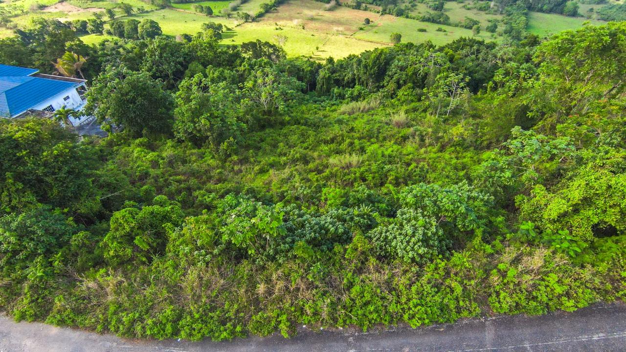 Nineteenth image of 4 Minard in Browns Town, St. Ann, Jamaica - property is For Sale