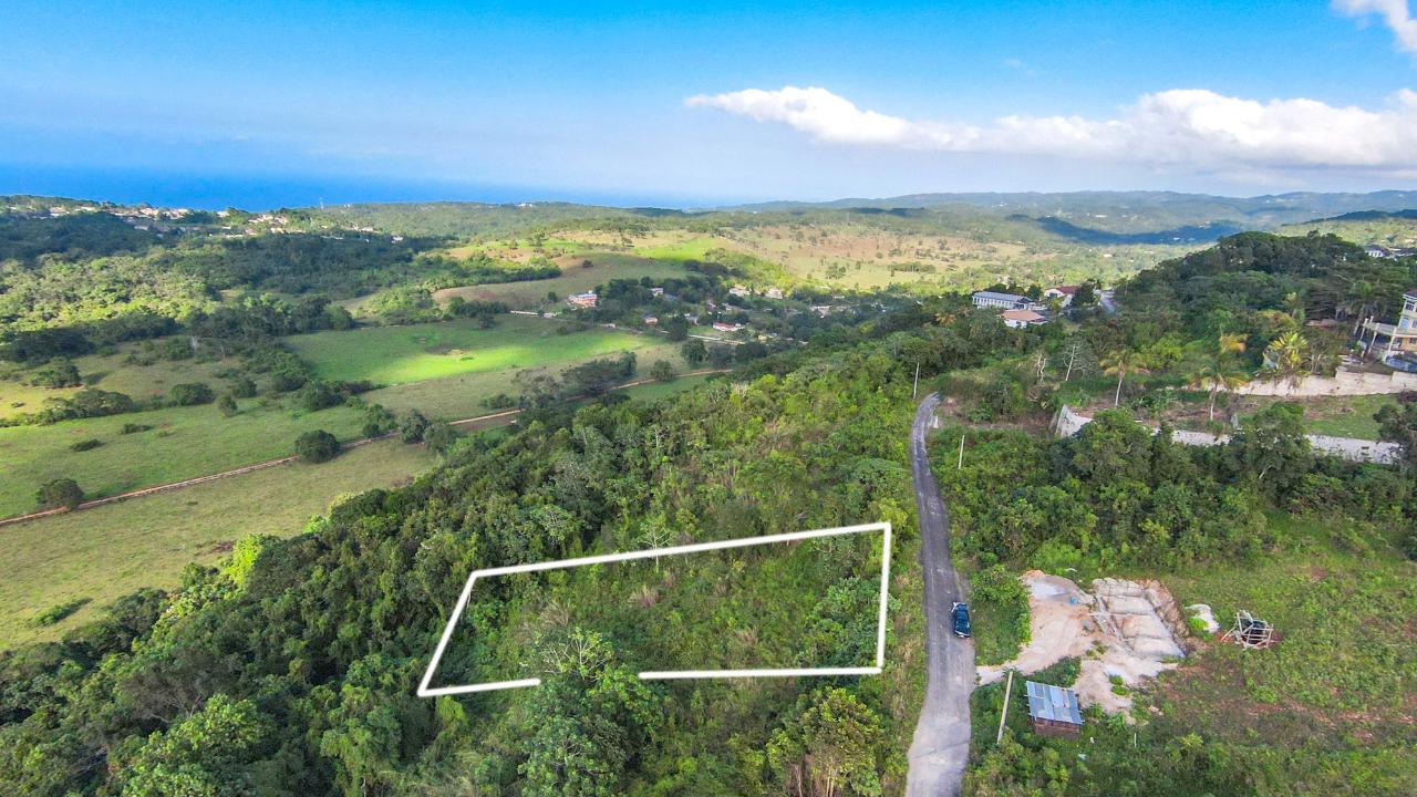 Sixth image of 4 Minard in Browns Town, St. Ann, Jamaica - property is For Sale