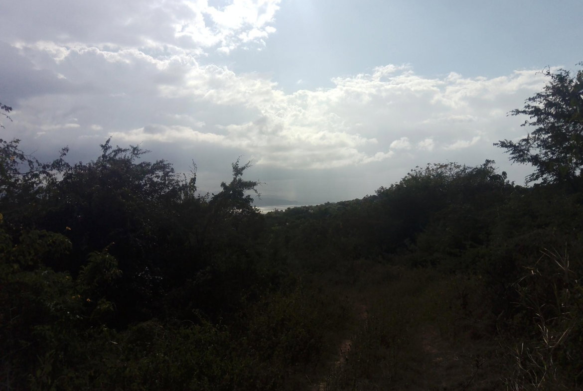 First image of 123 Montego Heights in Montego Heights, St. James, Jamaica - property is For Sale
