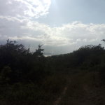 First image of 123 Montego Heights in Montego Heights, St. James, Jamaica - property is For Sale
