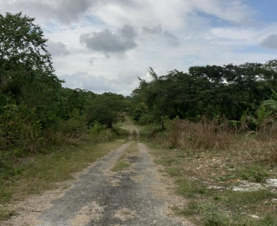 Fourth image of 123 Montego Heights in Montego Heights, St. James, Jamaica - property is For Sale
