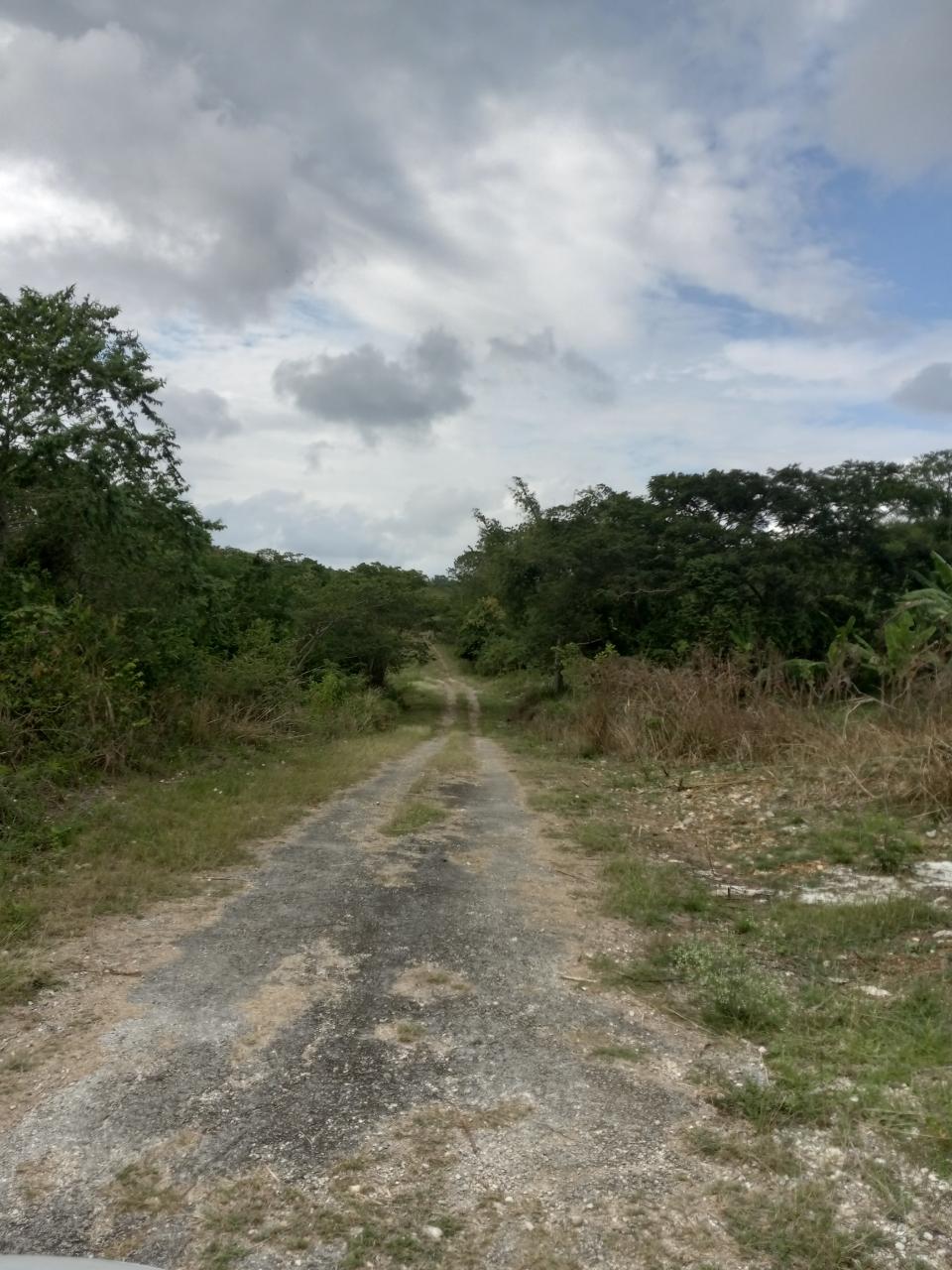 Fourth image of 123 Montego Heights in Montego Heights, St. James, Jamaica - property is For Sale