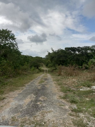 Fourth image of 123 Montego Heights in Montego Heights, St. James, Jamaica - property is For Sale