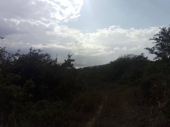 First image of 123 Montego Heights in Montego Heights, St. James, Jamaica - property is For Sale