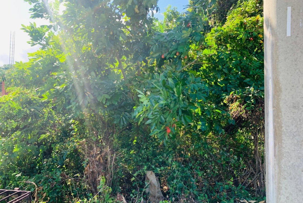 Second image of 104 Montego Hills in Montego Hills, St. James, Jamaica - property is For Sale