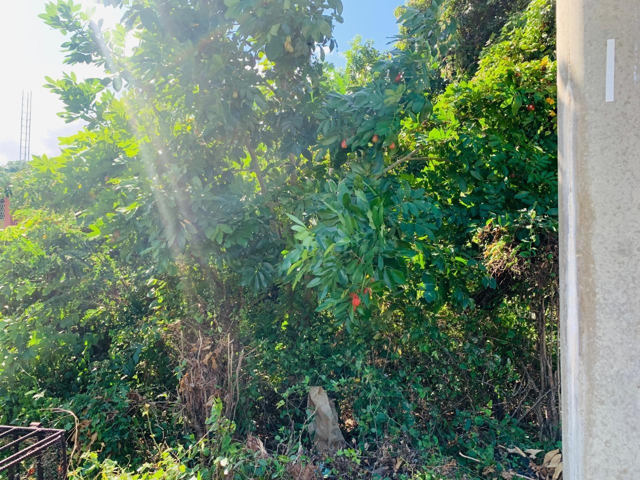 Prime-Residential-Lot-for-Sale-in-Montego-Hills-Jamaica Second image of 104 Montego Hills in Montego Hills, St. James, Jamaica - property is For Sale