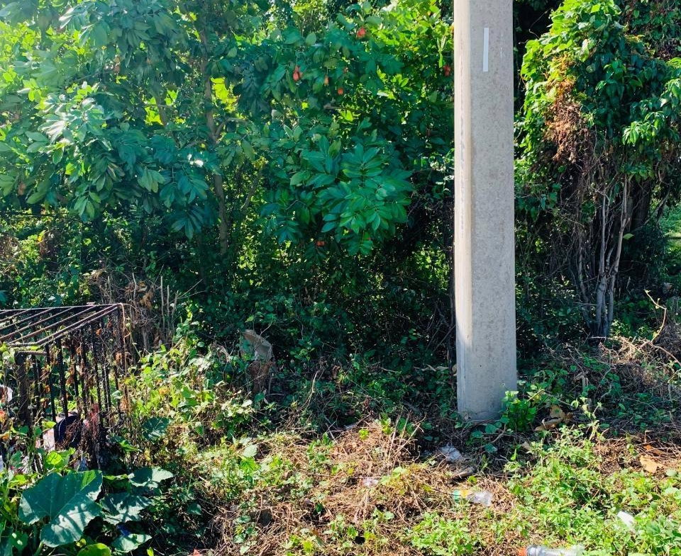Fourth image of 104 Montego Hills in Montego Hills, St. James, Jamaica - property is For Sale