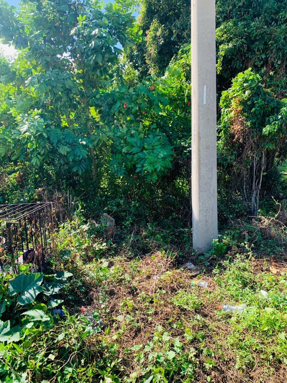 Prime-Residential-Lot-for-Sale-in-Montego-Hills-Jamaica Fourth image of 104 Montego Hills in Montego Hills, St. James, Jamaica - property is For Sale