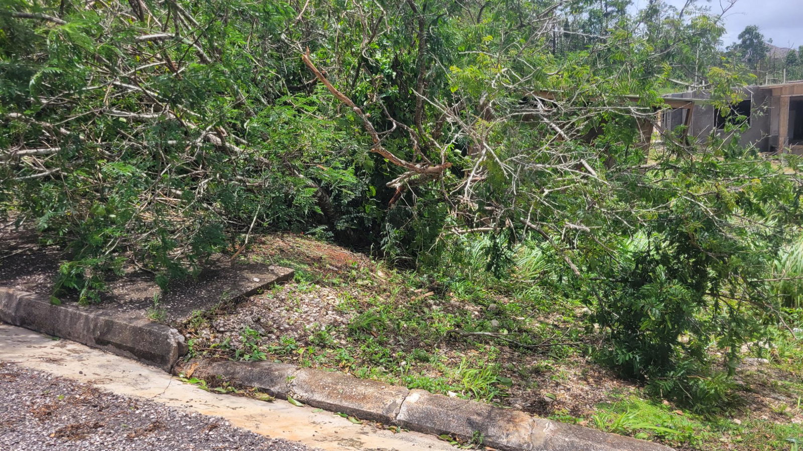 Fourth image of 161 Moorlands Estate in Mandeville, Manchester, Jamaica - property is For Sale
