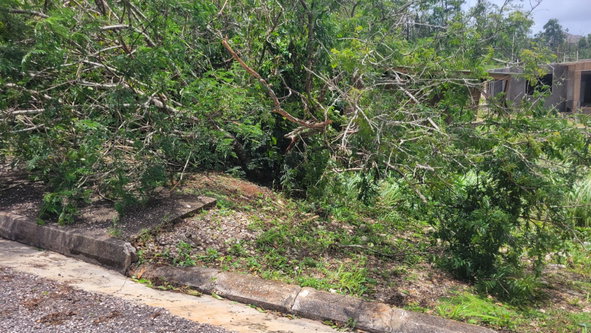 Fourth image of 161 Moorlands Estate in Mandeville, Manchester, Jamaica - property is For Sale