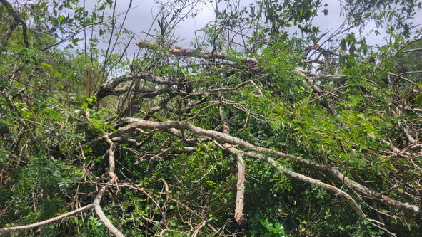 Fifth image of 161 Moorlands Estate in Mandeville, Manchester, Jamaica - property is For Sale