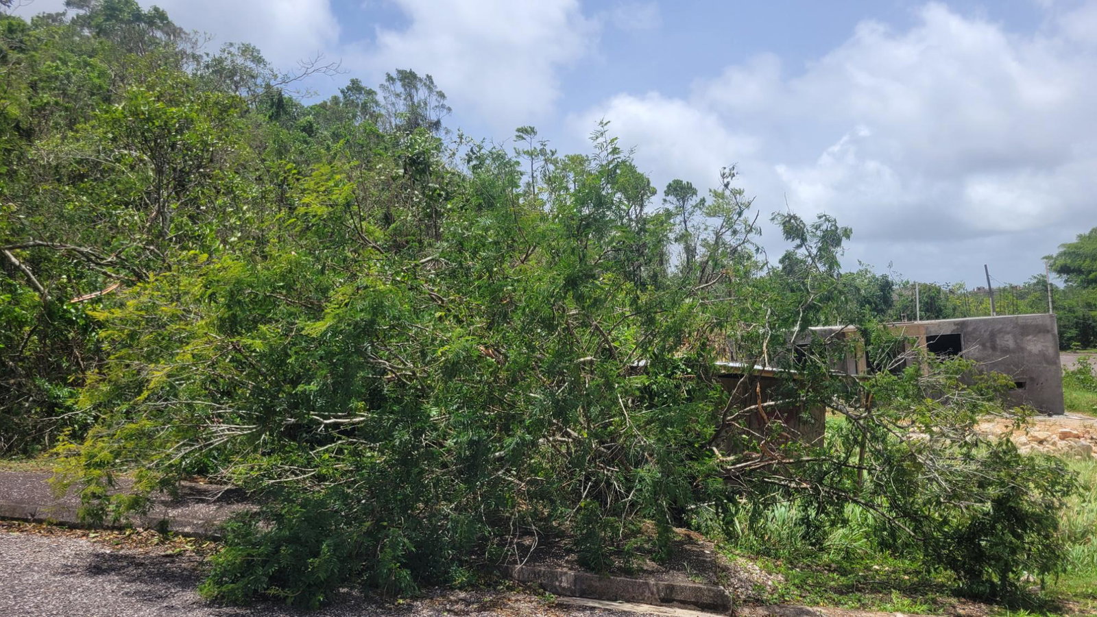 Seventh image of 161 Moorlands Estate in Mandeville, Manchester, Jamaica - property is For Sale