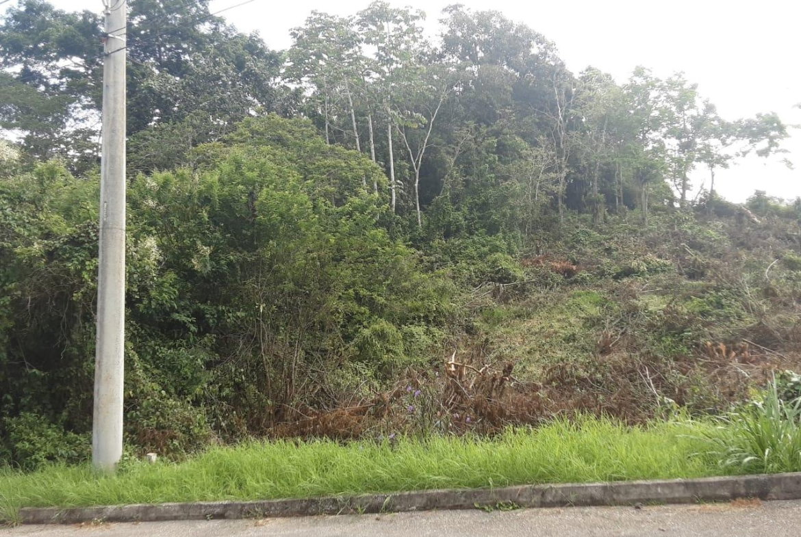 Eleventh image of Lot 149 Moorlands Manor p in Mandeville, Manchester, Jamaica - property is For Sale