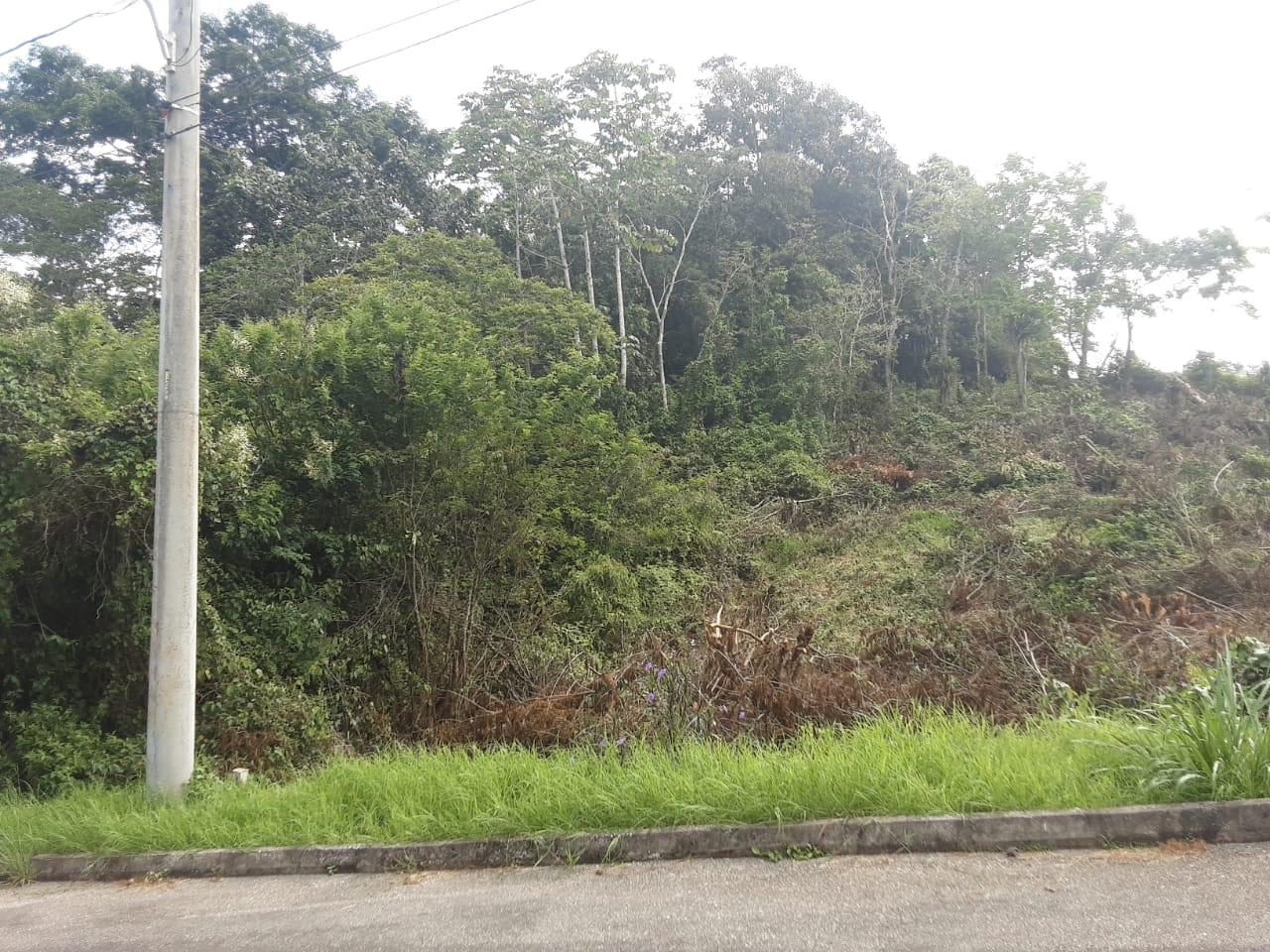 Eleventh image of Lot 149 Moorlands Manor p in Mandeville, Manchester, Jamaica - property is For Sale