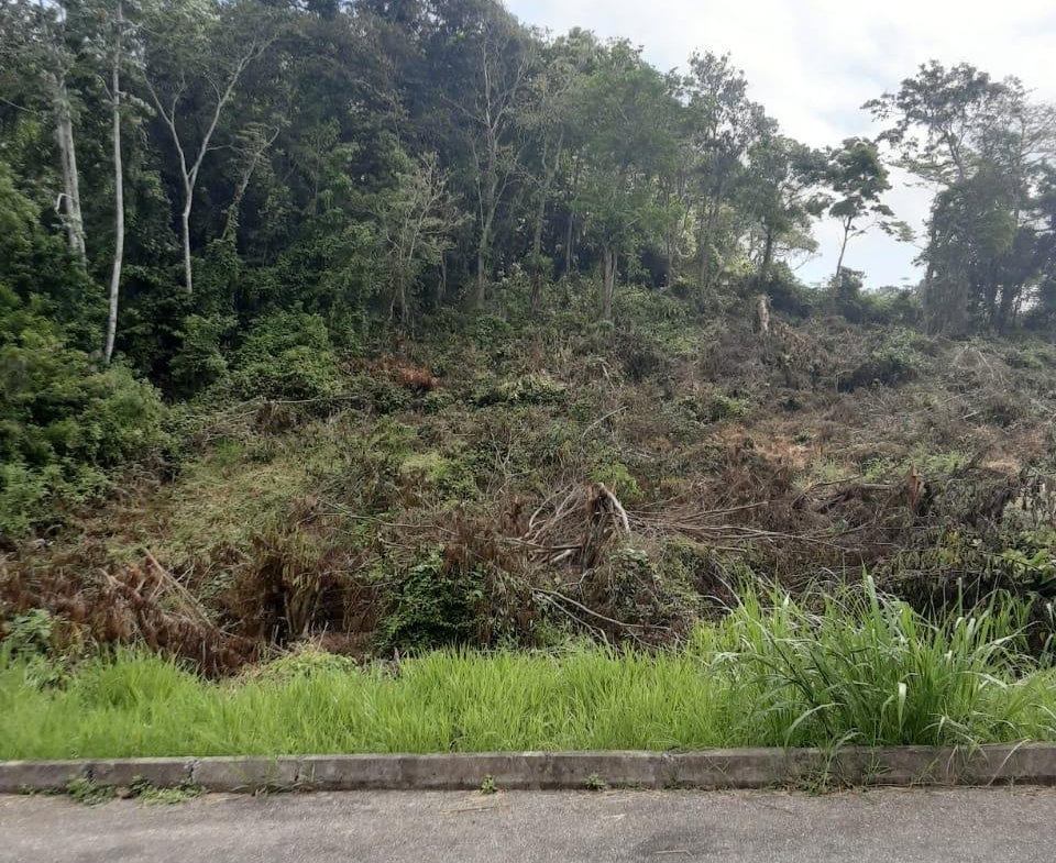 Twelfth image of Lot 149 Moorlands Manor p in Mandeville, Manchester, Jamaica - property is For Sale