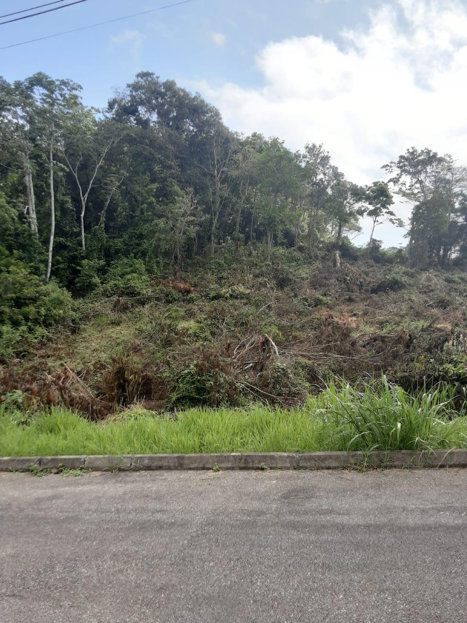 Twelfth image of Lot 149 Moorlands Manor p in Mandeville, Manchester, Jamaica - property is For Sale