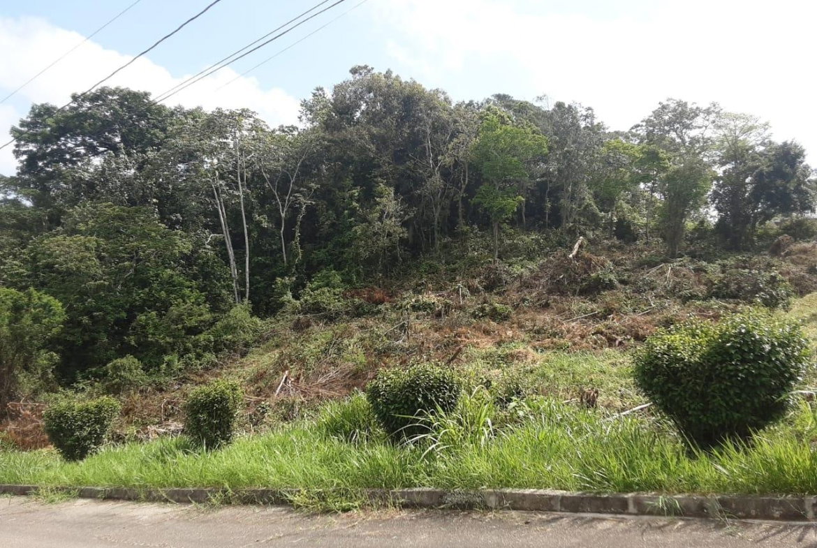 Thirteenth image of Lot 149 Moorlands Manor p in Mandeville, Manchester, Jamaica - property is For Sale