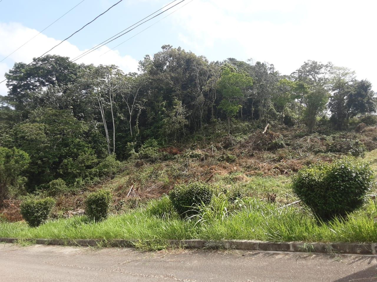 Thirteenth image of Lot 149 Moorlands Manor p in Mandeville, Manchester, Jamaica - property is For Sale