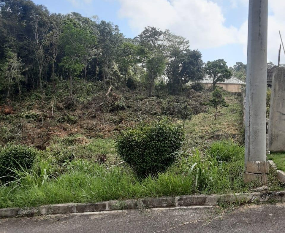 Fourteenth image of Lot 149 Moorlands Manor p in Mandeville, Manchester, Jamaica - property is For Sale
