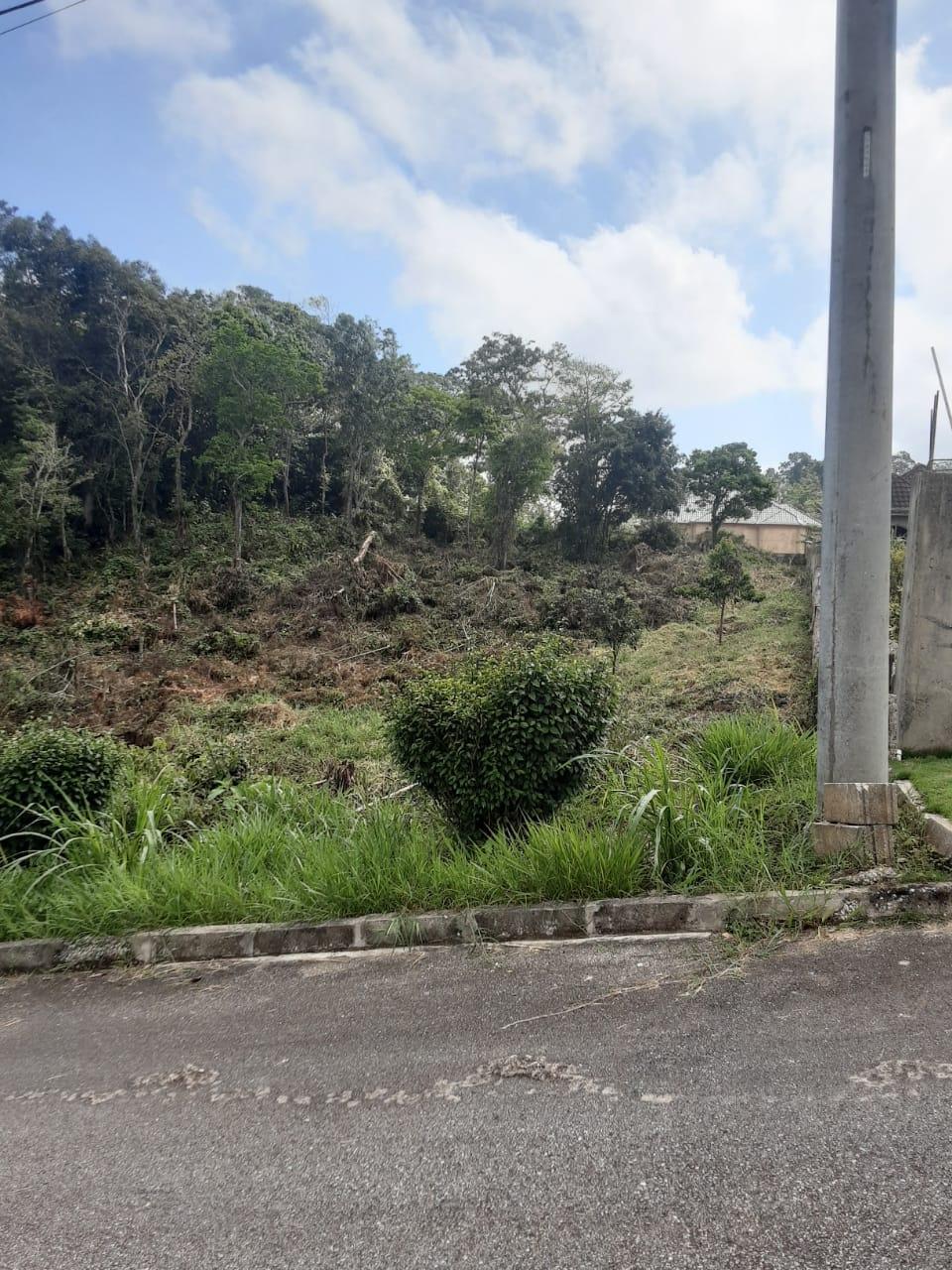 Fourteenth image of Lot 149 Moorlands Manor p in Mandeville, Manchester, Jamaica - property is For Sale