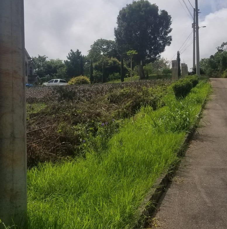 Fifteenth image of Lot 149 Moorlands Manor p in Mandeville, Manchester, Jamaica - property is For Sale