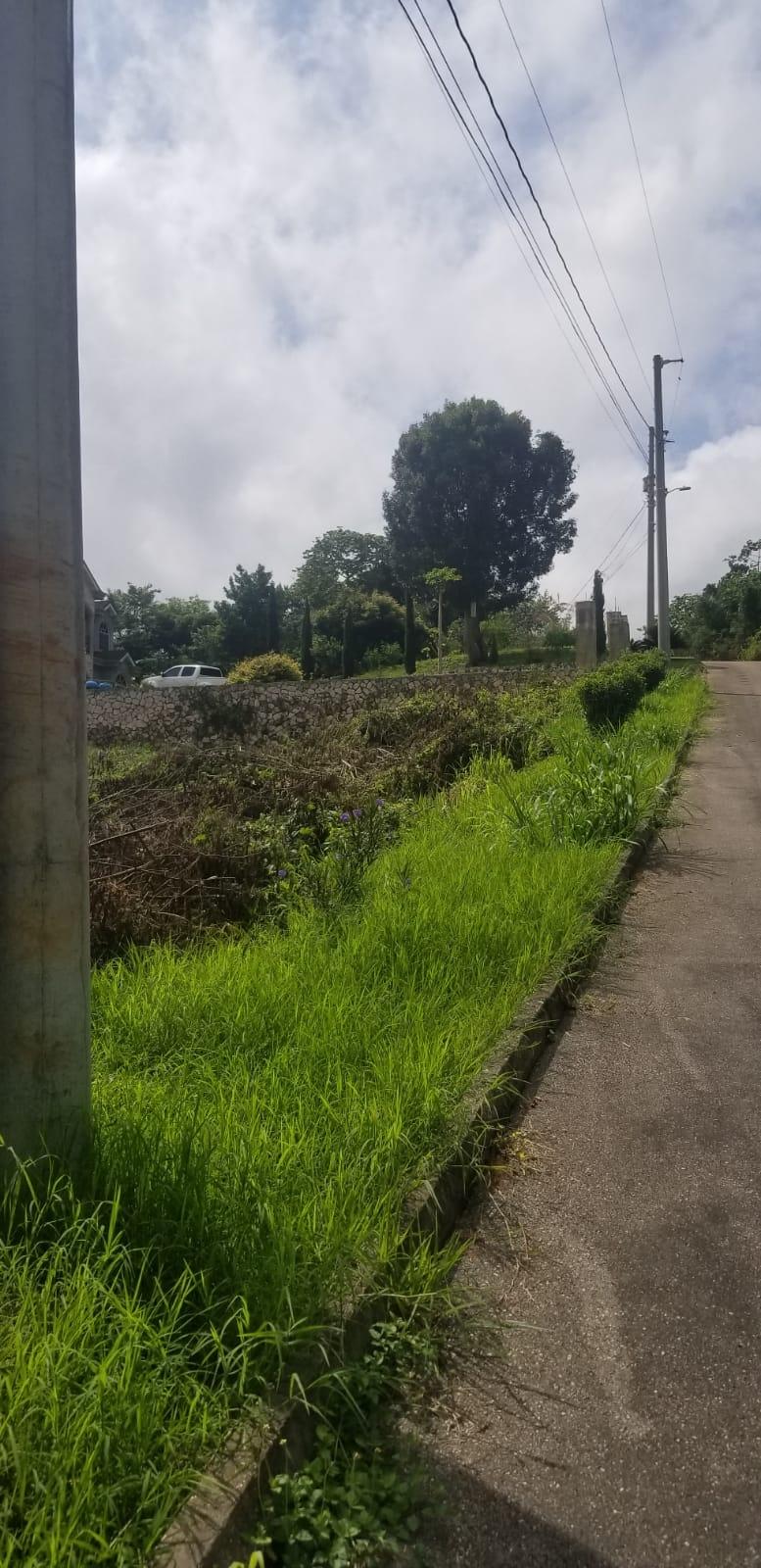 Fifteenth image of Lot 149 Moorlands Manor p in Mandeville, Manchester, Jamaica - property is For Sale