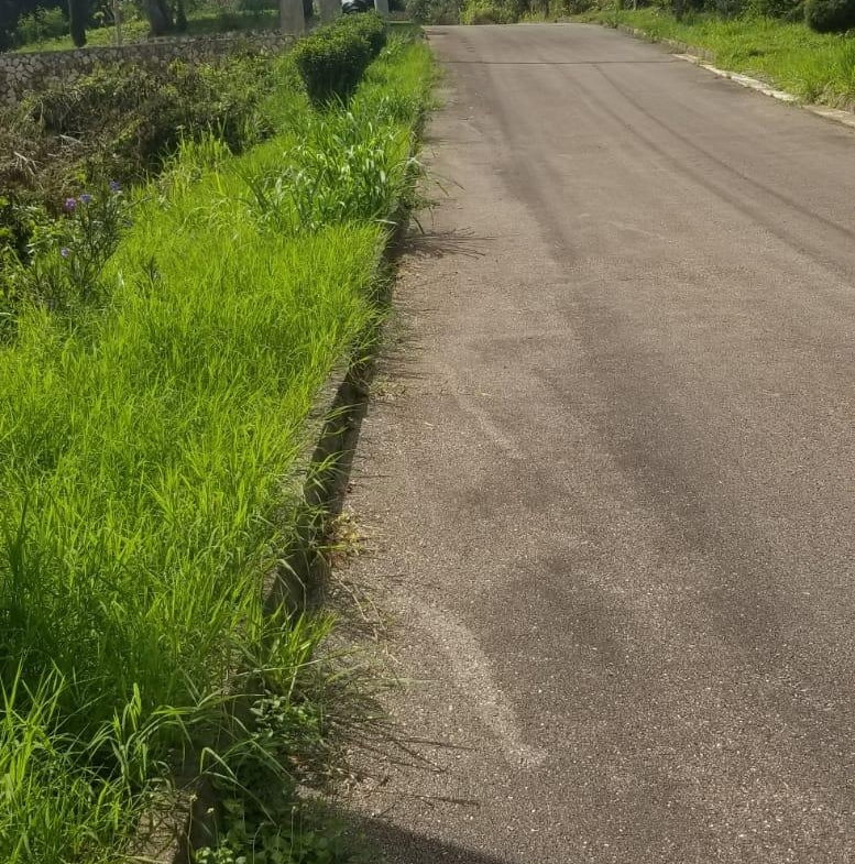 Sixteenth image of Lot 149 Moorlands Manor p in Mandeville, Manchester, Jamaica - property is For Sale