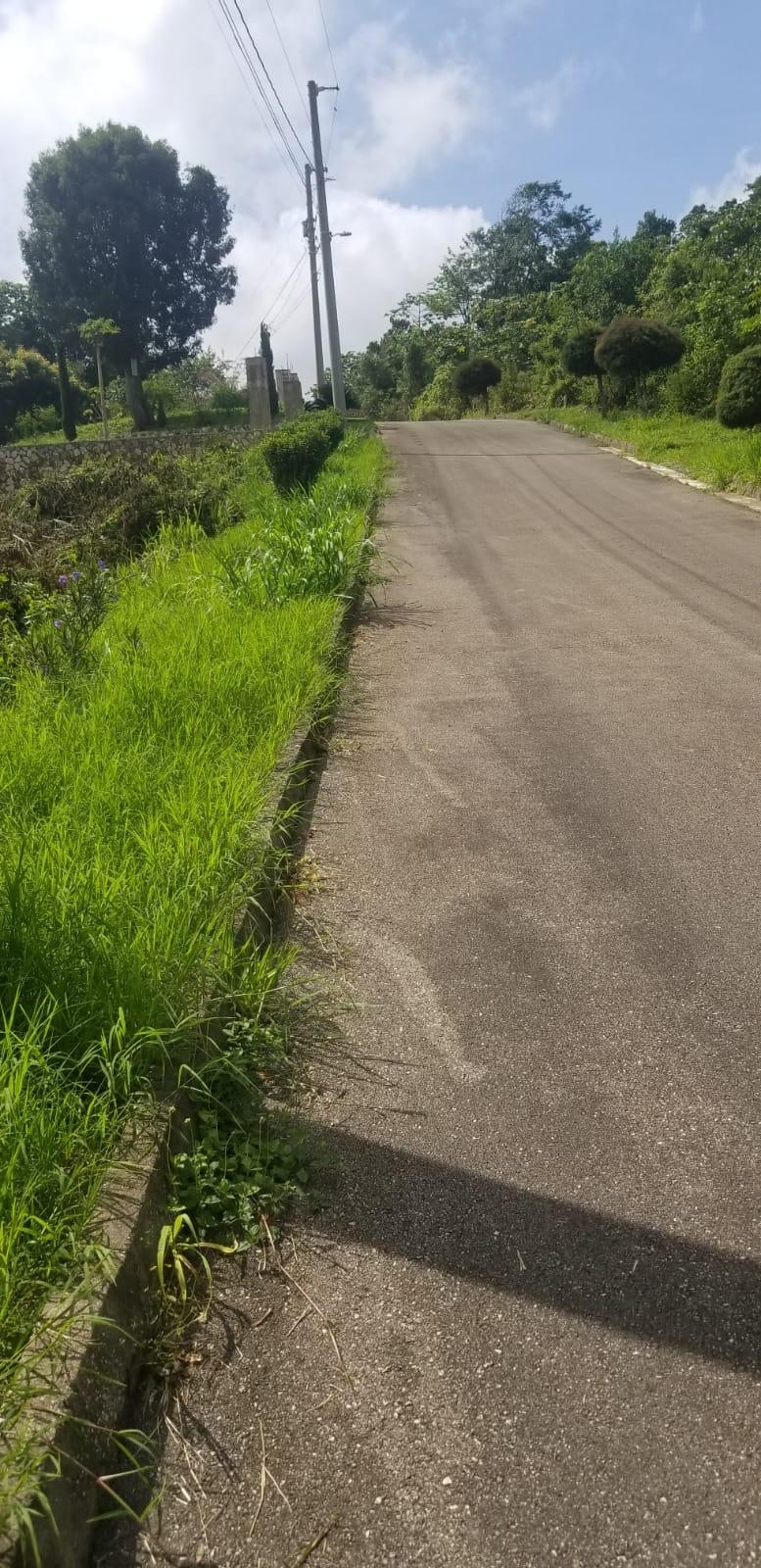 Sixteenth image of Lot 149 Moorlands Manor p in Mandeville, Manchester, Jamaica - property is For Sale