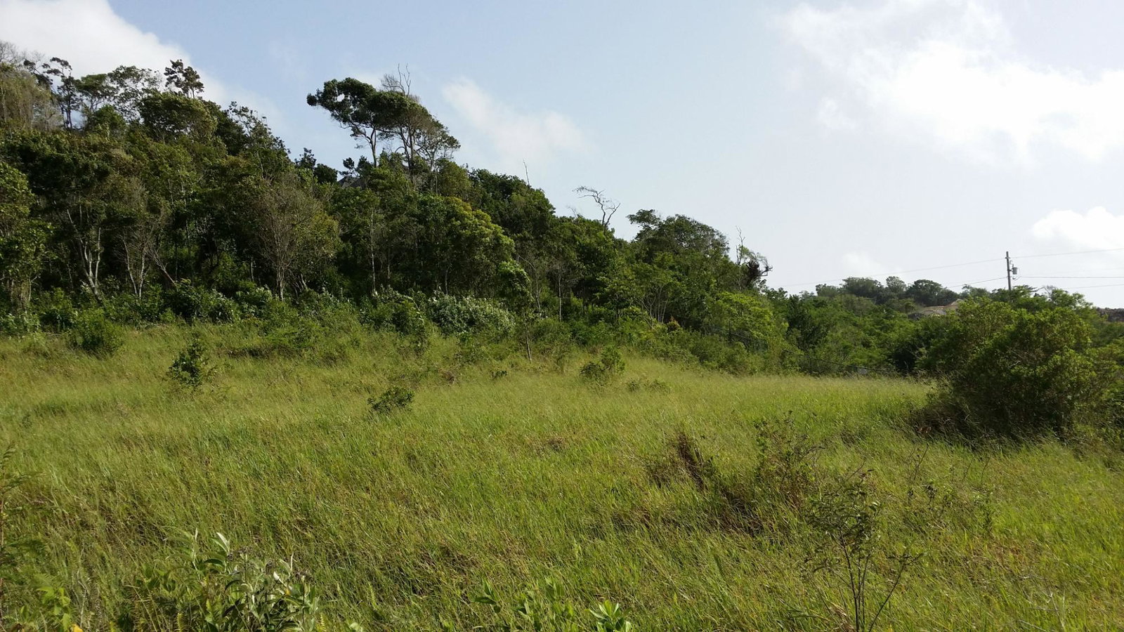 Prime-Residential-Lot-for-Sale-in-Moorlands-Jamaica-158-Moorlands-Manor-Estate Second image of 158 Moorlands Manor Estate, m in Moorlands Phase1&2, Manchester, Jamaica - property is For Sale