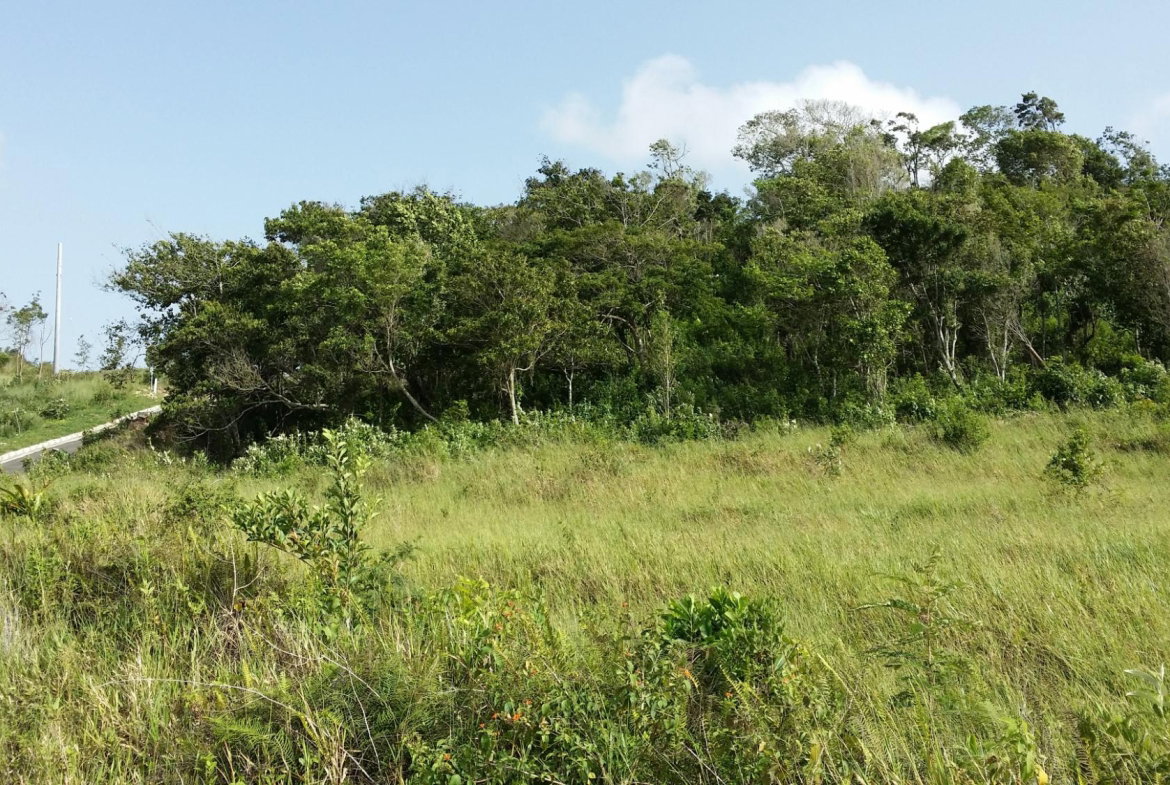 First image of 158 Moorlands Manor Estate, m in Moorlands Phase1&2, Manchester, Jamaica - property is For Sale