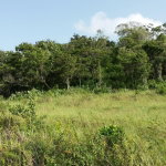 First image of 158 Moorlands Manor Estate, m in Moorlands Phase1&2, Manchester, Jamaica - property is For Sale