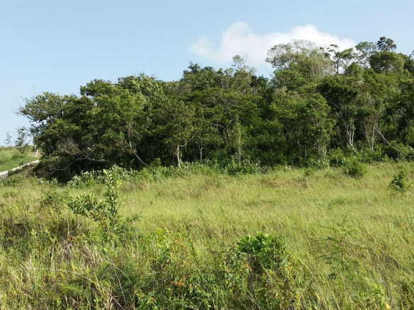 First image of 158 Moorlands Manor Estate, m in Moorlands Phase1&2, Manchester, Jamaica - property is For Sale