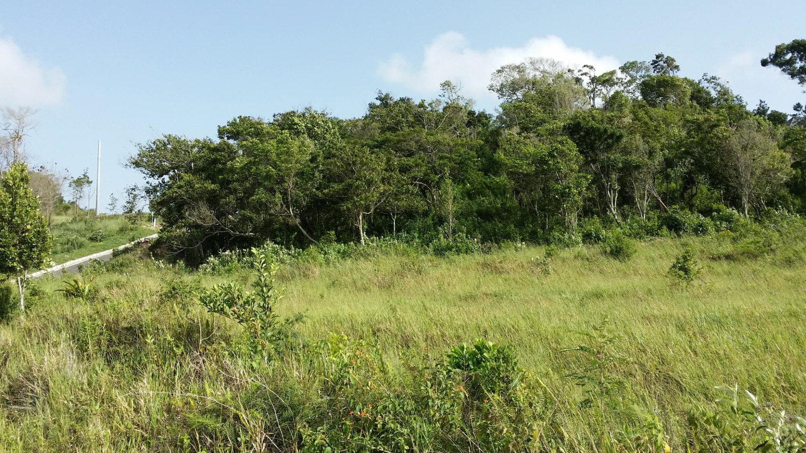 Prime-Residential-Lot-for-Sale-in-Moorlands-Jamaica-158-Moorlands-Manor-Estate First image of 158 Moorlands Manor Estate, m in Moorlands Phase1&2, Manchester, Jamaica - property is For Sale