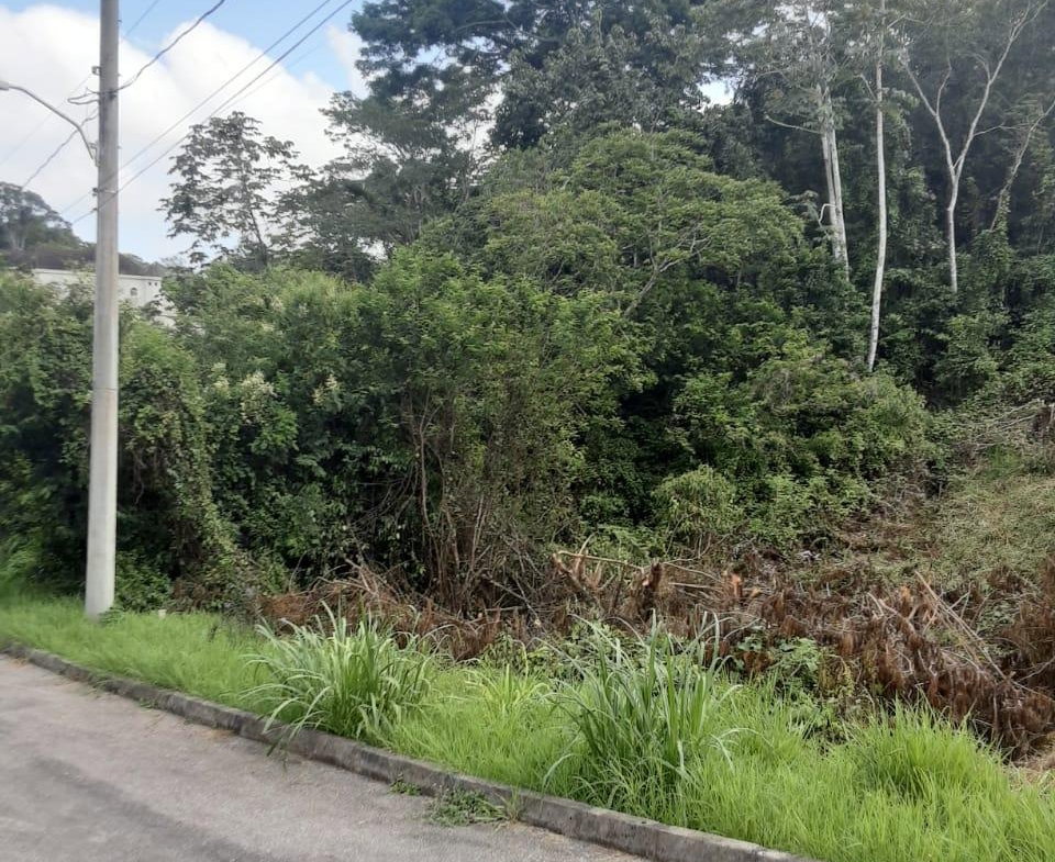 Third image of Lot 149 Moorlands Manor p in Mandeville, Manchester, Jamaica - property is For Sale