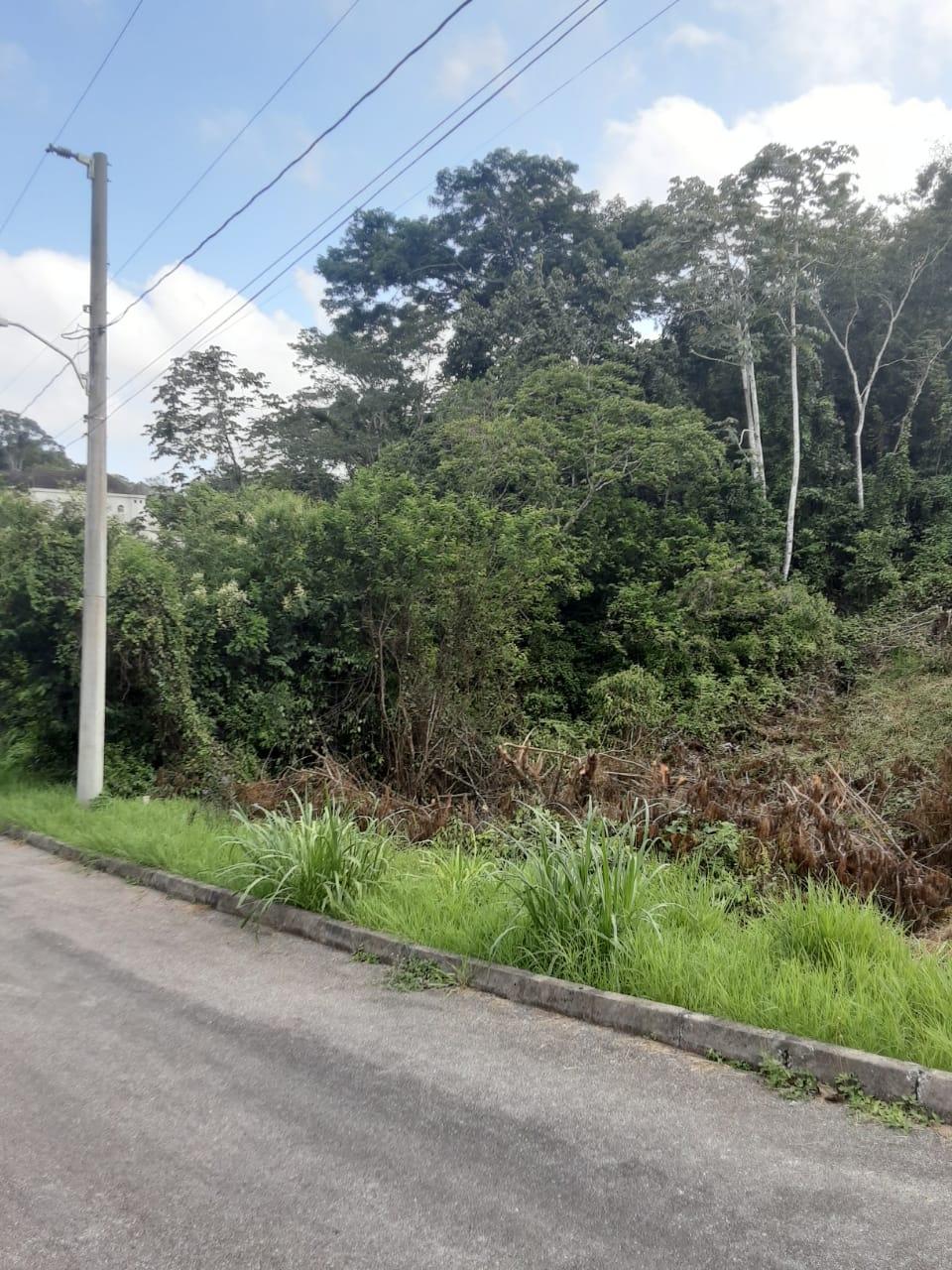 Third image of Lot 149 Moorlands Manor p in Mandeville, Manchester, Jamaica - property is For Sale