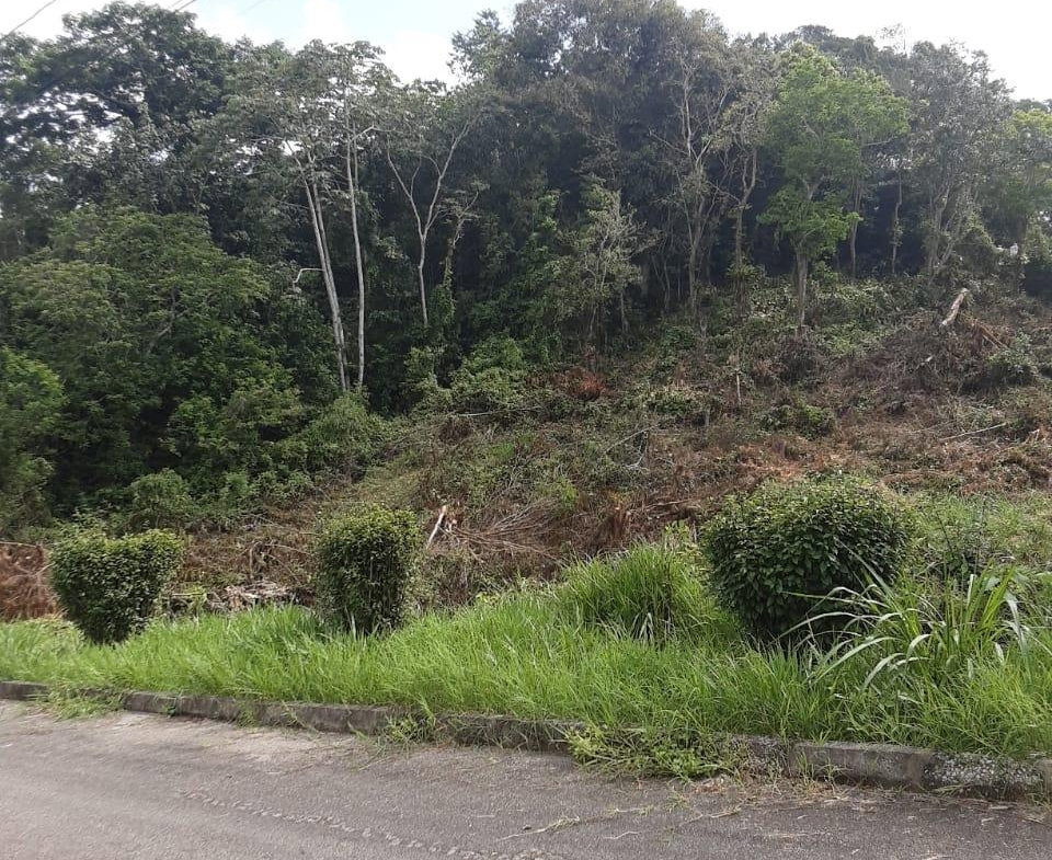 Fourth image of Lot 149 Moorlands Manor p in Mandeville, Manchester, Jamaica - property is For Sale