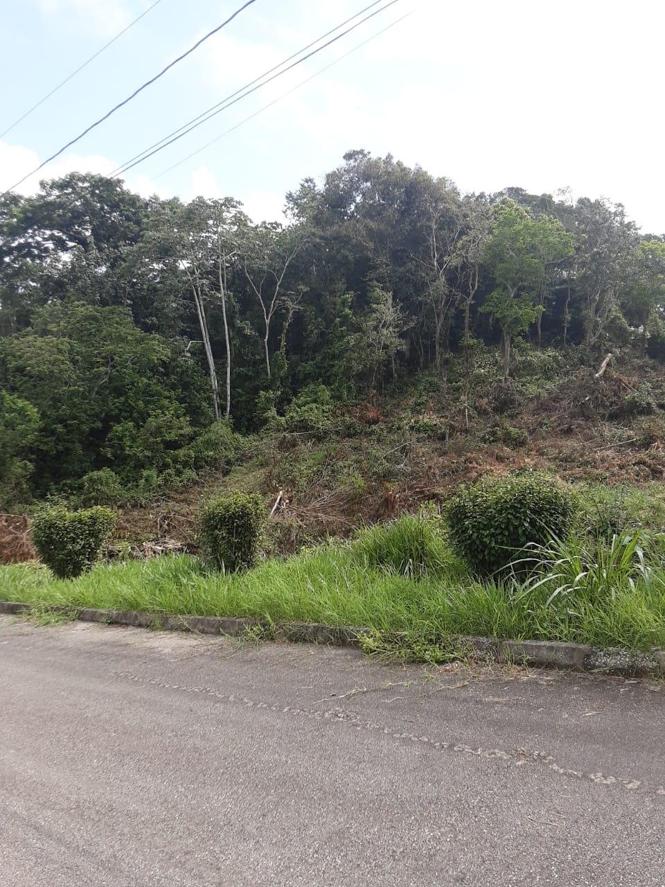 Fourth image of Lot 149 Moorlands Manor p in Mandeville, Manchester, Jamaica - property is For Sale