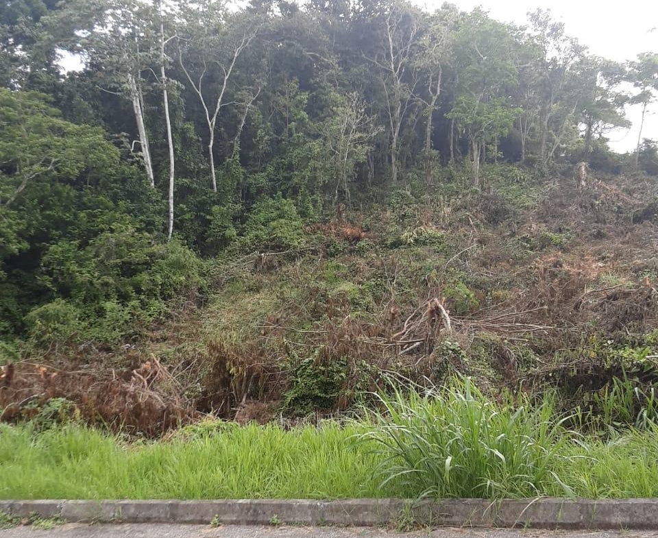 Fifth image of Lot 149 Moorlands Manor p in Mandeville, Manchester, Jamaica - property is For Sale