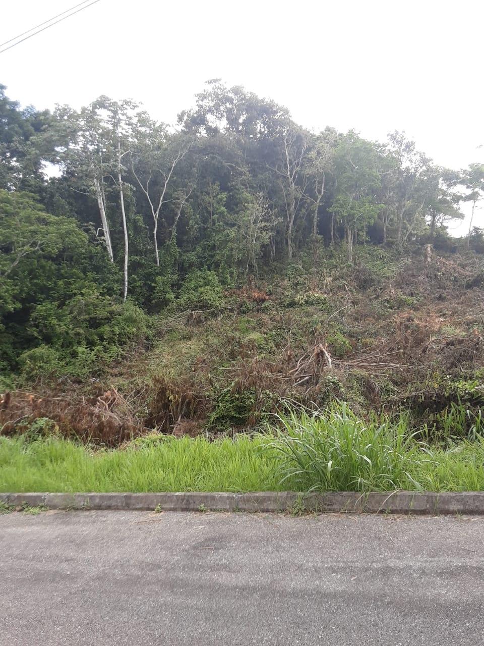 Fifth image of Lot 149 Moorlands Manor p in Mandeville, Manchester, Jamaica - property is For Sale