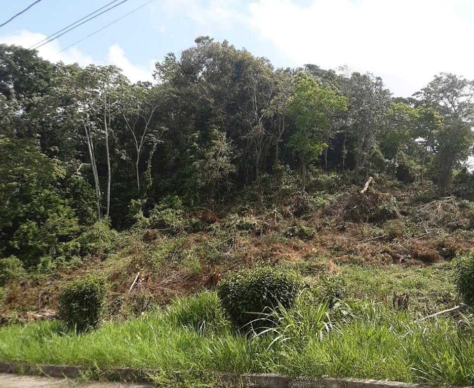 Sixth image of Lot 149 Moorlands Manor p in Mandeville, Manchester, Jamaica - property is For Sale