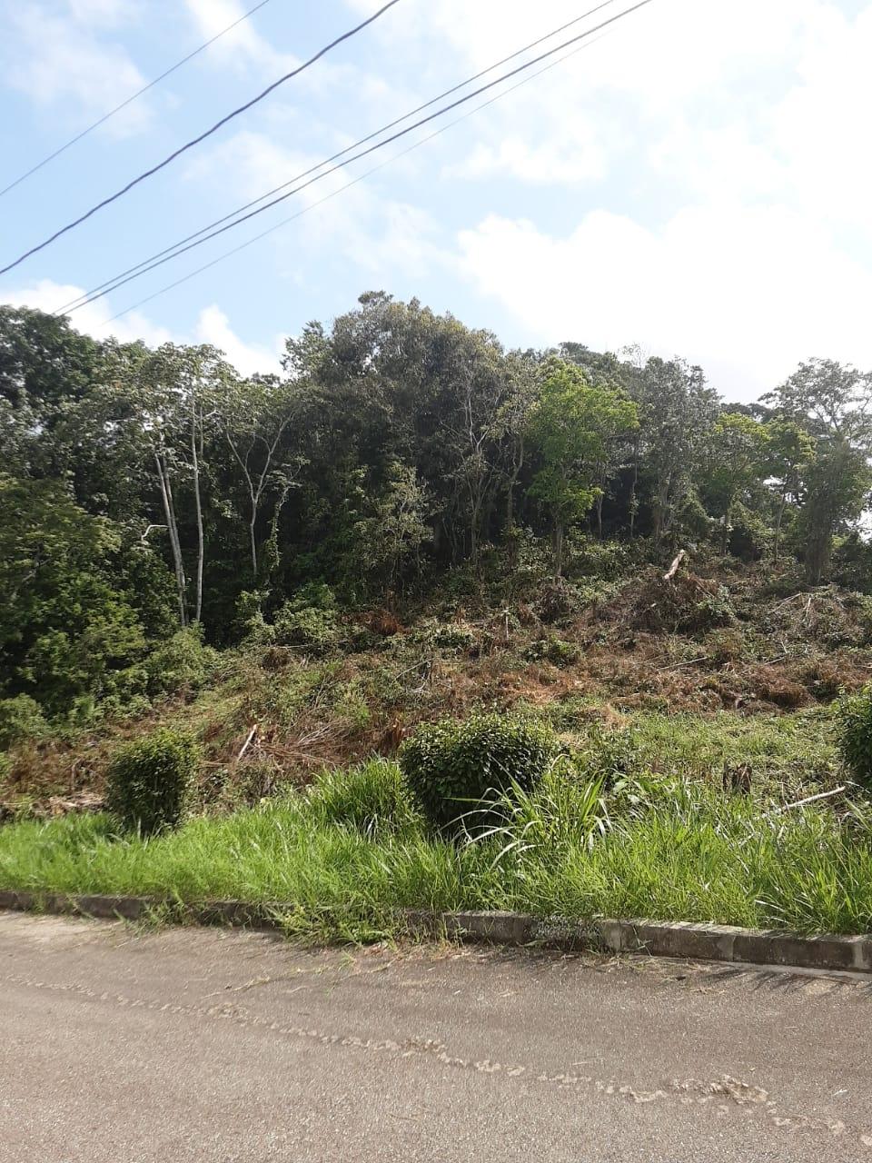 Sixth image of Lot 149 Moorlands Manor p in Mandeville, Manchester, Jamaica - property is For Sale