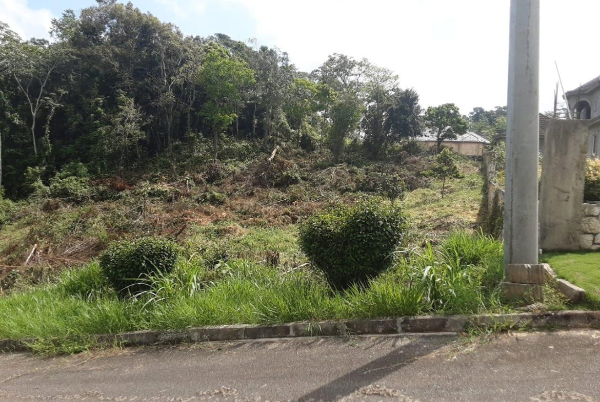 Seventh image of Lot 149 Moorlands Manor p in Mandeville, Manchester, Jamaica - property is For Sale