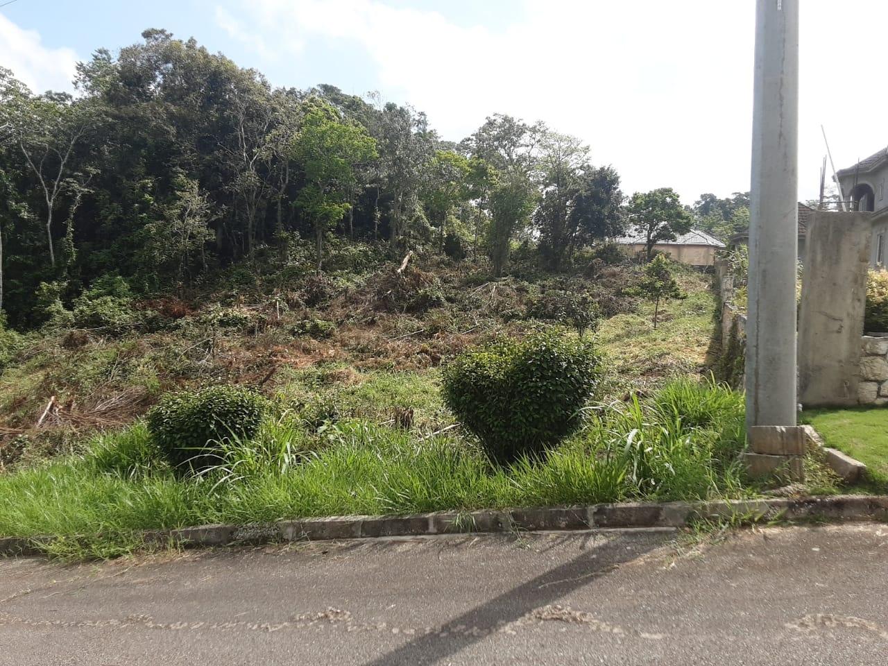 Seventh image of Lot 149 Moorlands Manor p in Mandeville, Manchester, Jamaica - property is For Sale