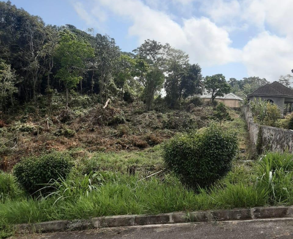 Eighth image of Lot 149 Moorlands Manor p in Mandeville, Manchester, Jamaica - property is For Sale