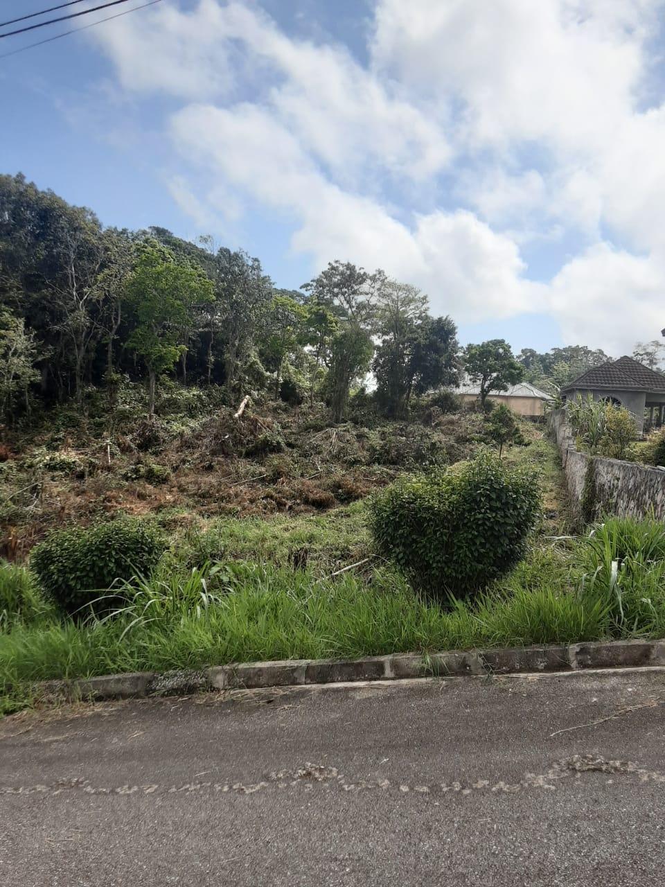 Eighth image of Lot 149 Moorlands Manor p in Mandeville, Manchester, Jamaica - property is For Sale