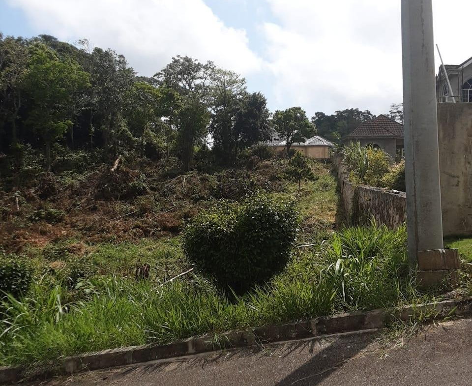 Ninth image of Lot 149 Moorlands Manor p in Mandeville, Manchester, Jamaica - property is For Sale